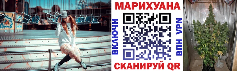 Каннабис OG Kush  Арамиль 